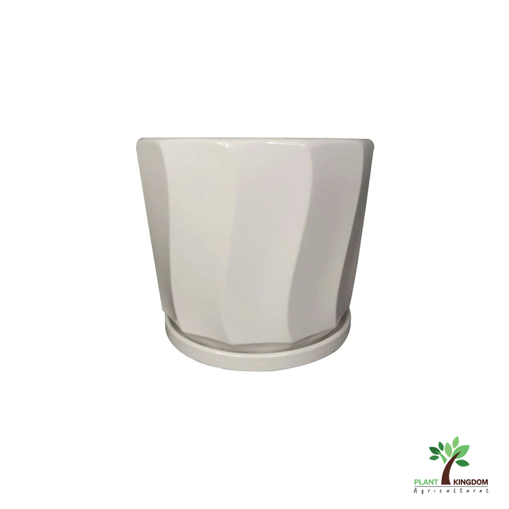 White Ceramic Pot Design Plant Kingdom UAE   White Ceramic Pot Design 